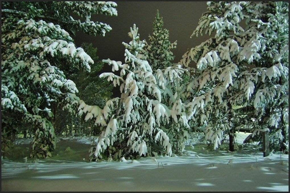 швеция,скандинавия,зима,снег,пейзаж,заполярье,лапландия, Елена