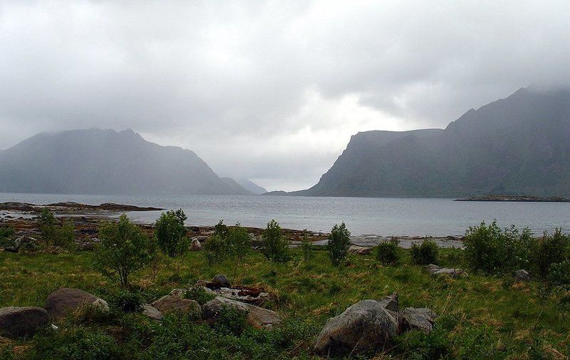 дали.норге.лето Дали... фото превью