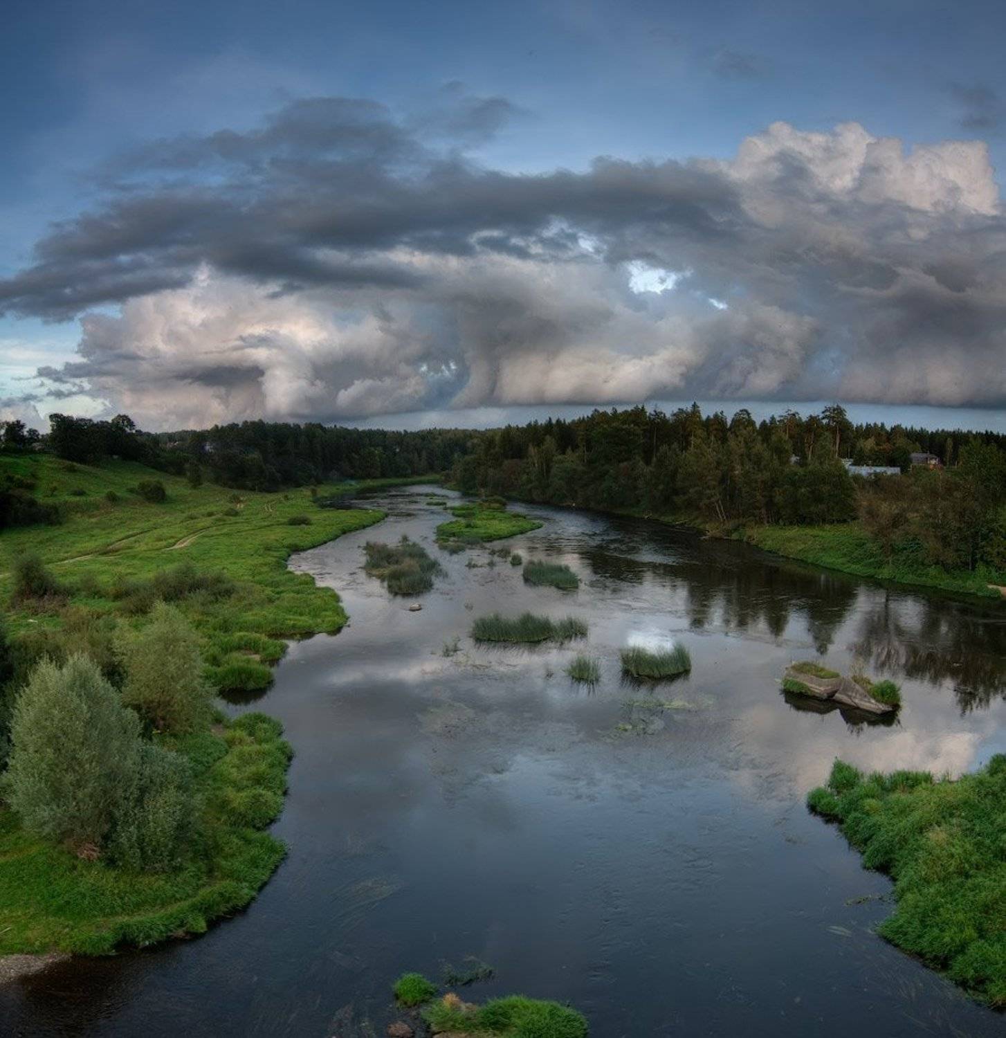 , Дмитрий Милосердов
