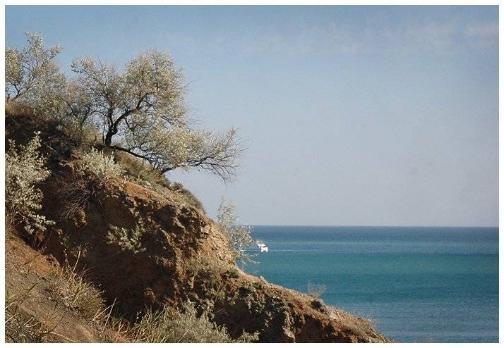 , Юлия Чекмарева