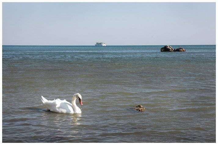 , Юлия Чекмарева