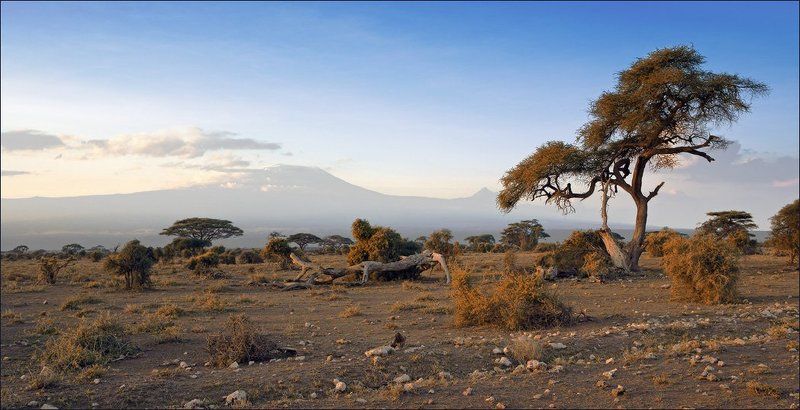 Воспоминания о Килиманджаро фото превью