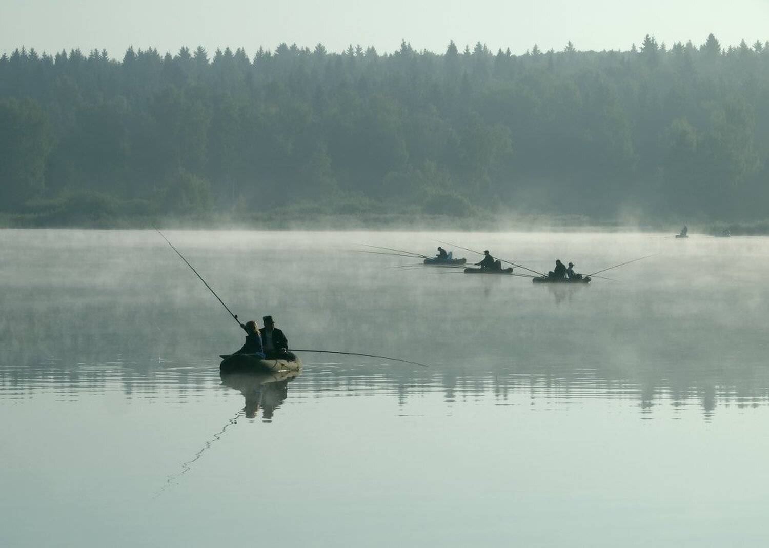 , Максим Евдокимов