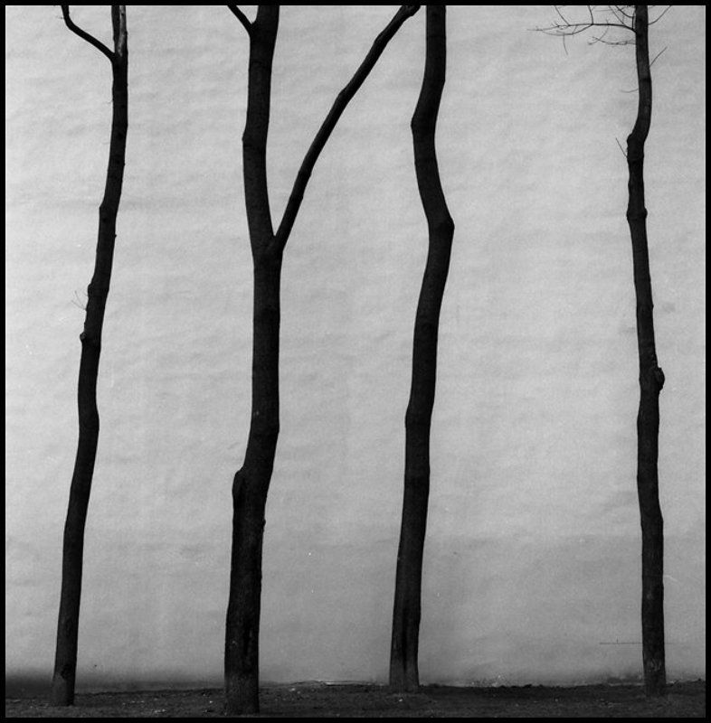 И фото превью