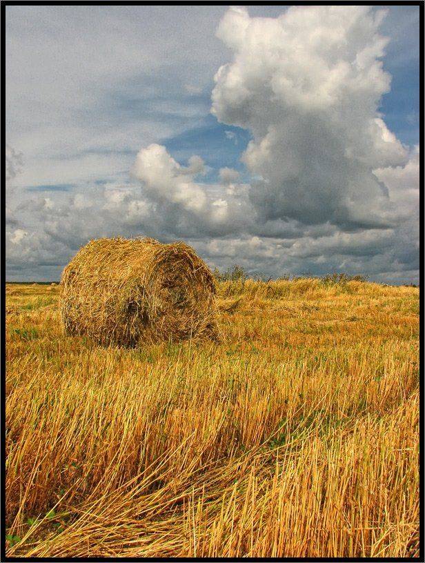 , Лунный Ежик