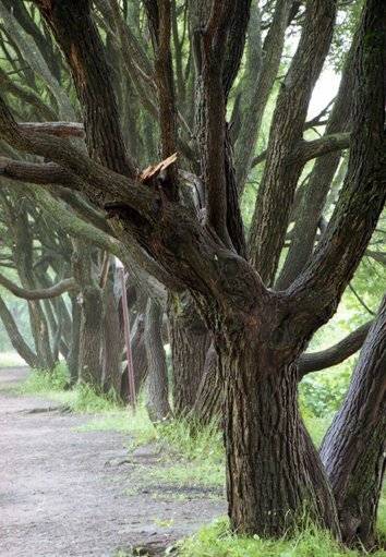 , ИГОРЬ МЕЛЬНИКОВ