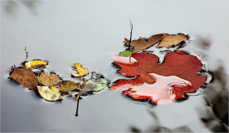 осенние встречи фото превью