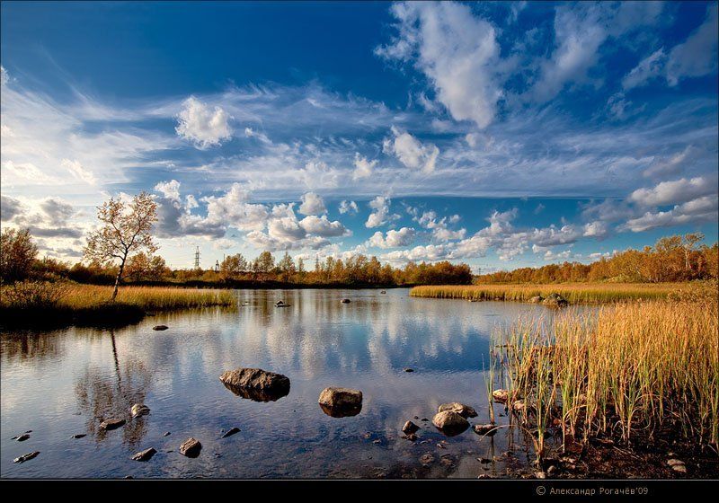 мурманск,север,тундра,осень Бабье лето. фото превью