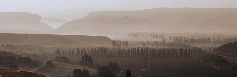 утро  фото превью