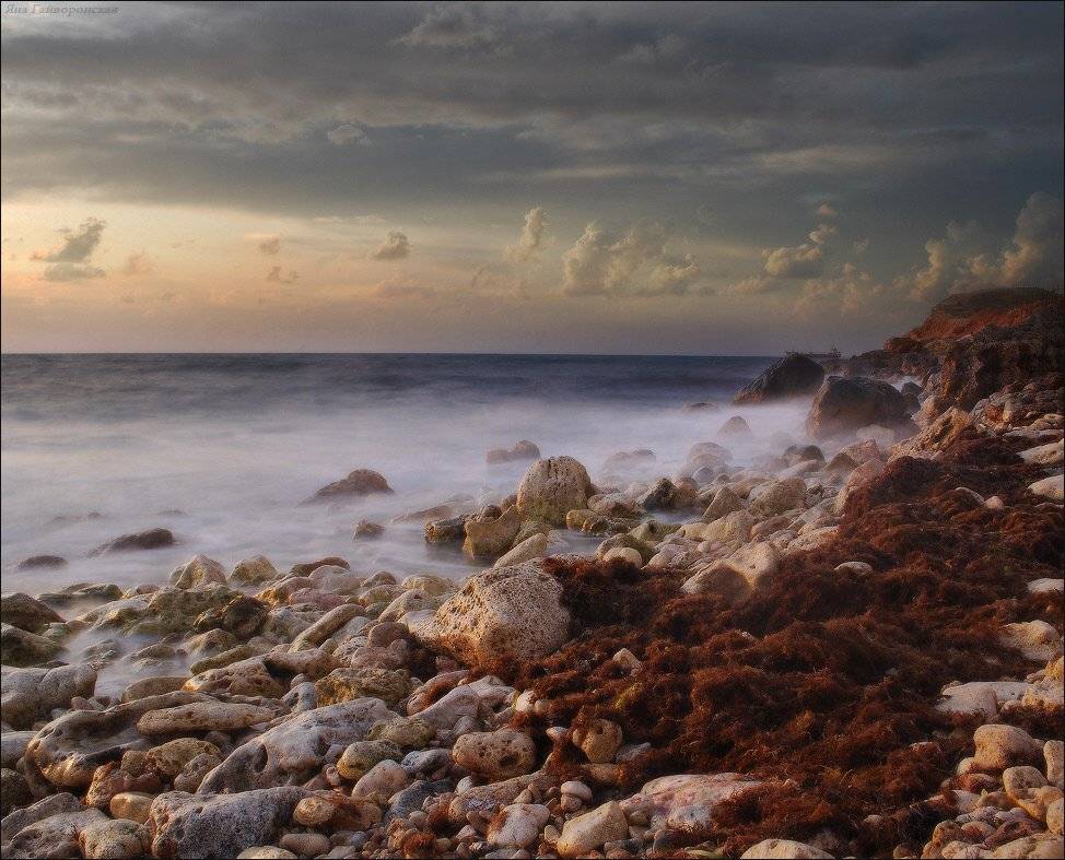 , Яна  Гайворонская