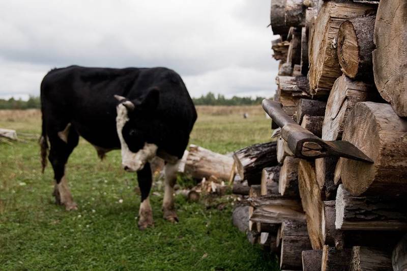 Неотвратимость судьбы. фото превью