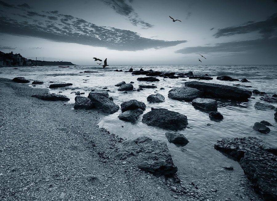 , Sergey Dimchenko