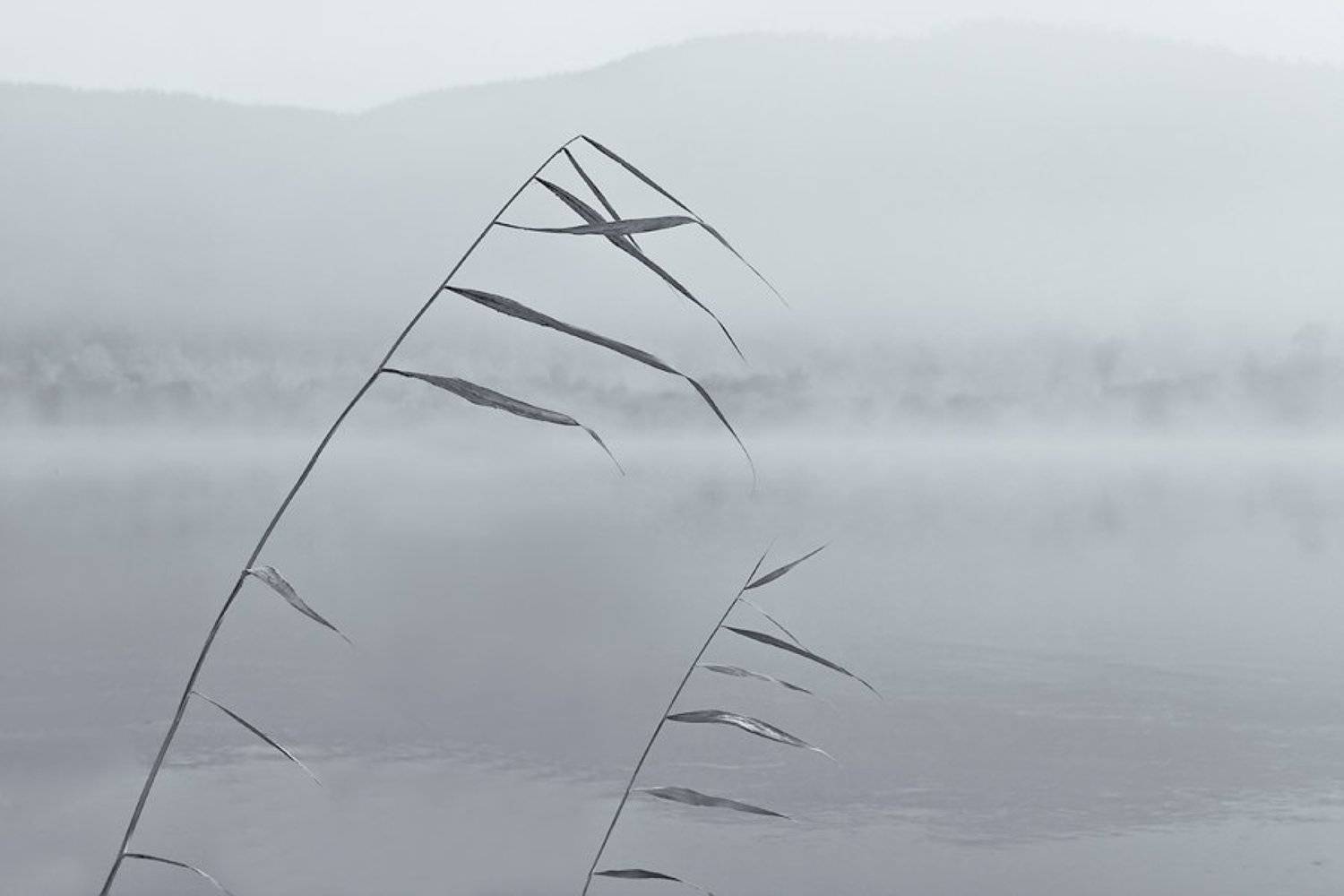 бурятия, река, баргузин, туман, Олег Шубаров