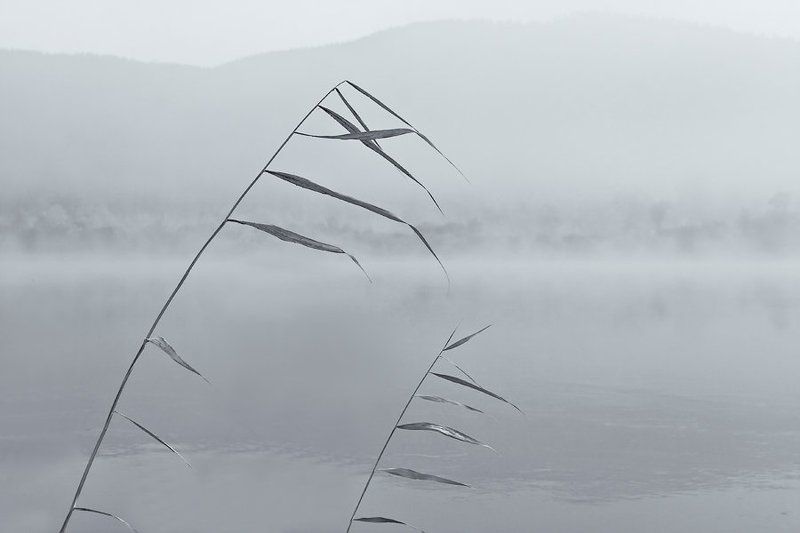 бурятия, река, баргузин, туман * * * фото превью