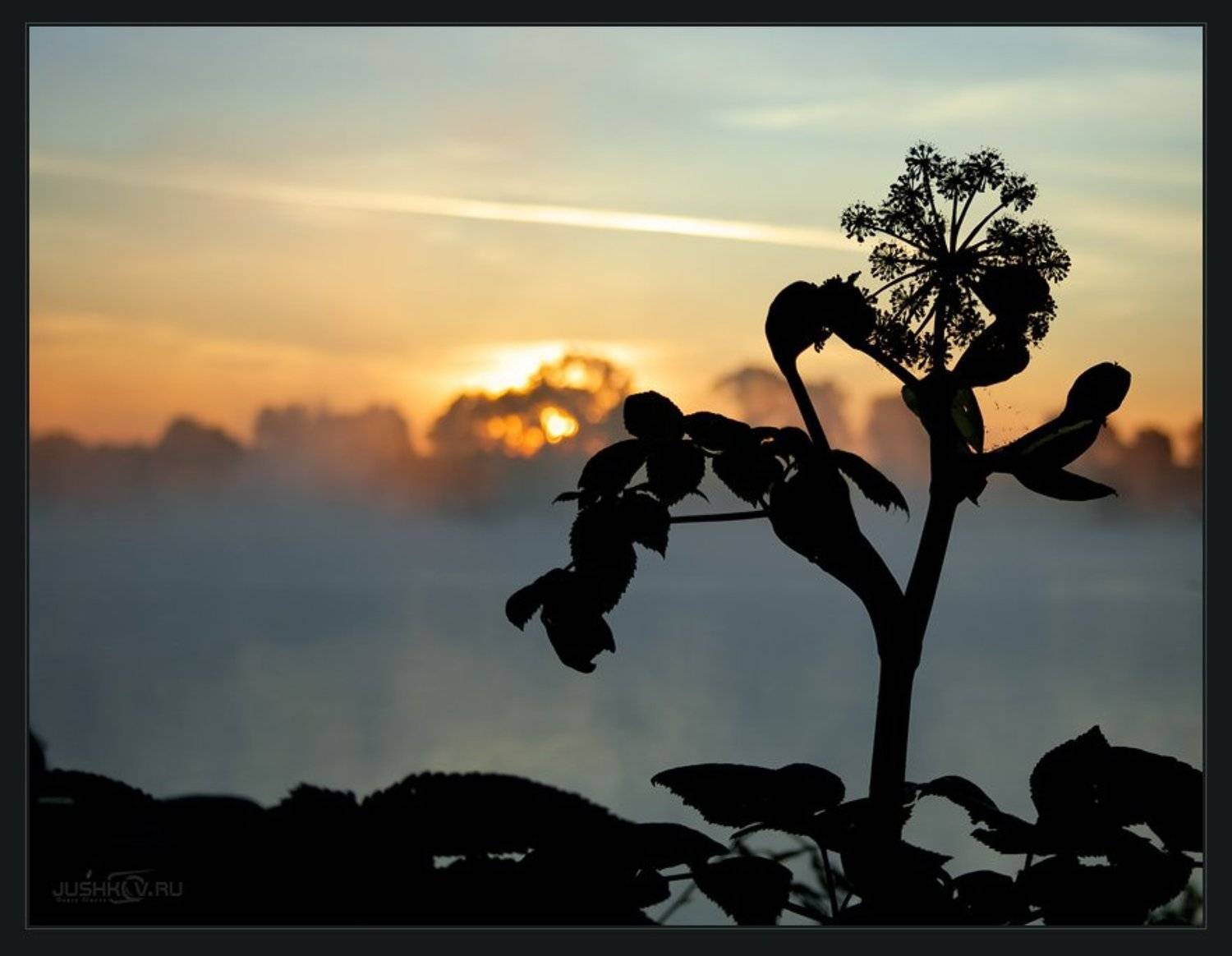 рассвет, туман, река, силуэт, Федор Юшков