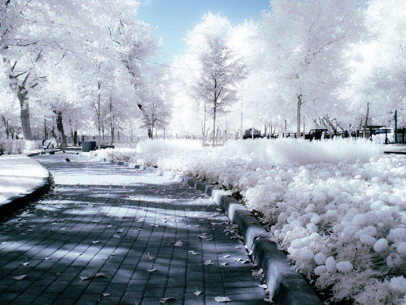 Прогулка фото превью