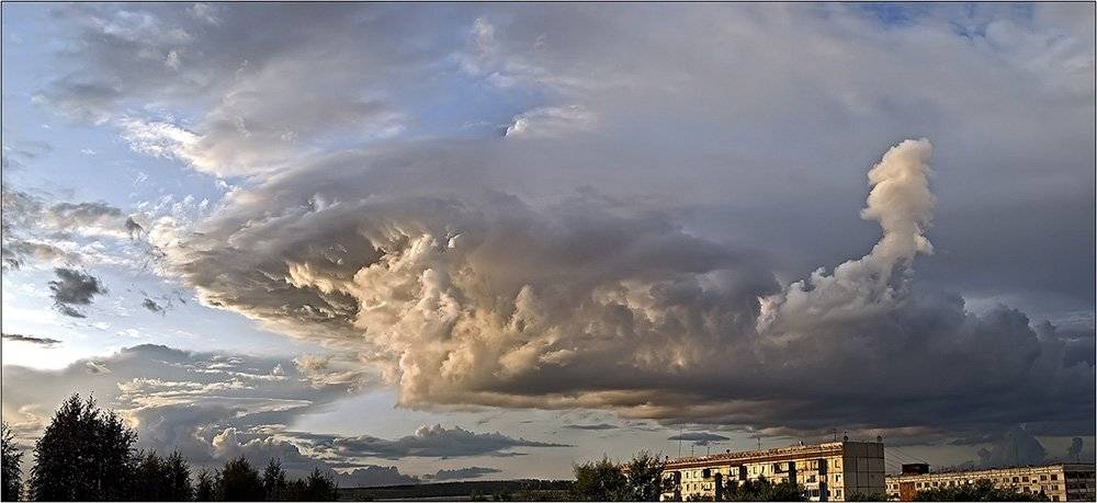 , Любовь Фурс