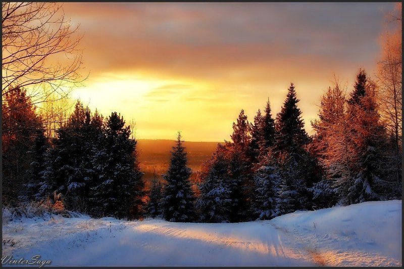 швеция,скандинавия,лапландия,заполярье,зима,снег,закат,природа,пейзаж VinterSaga фото превью
