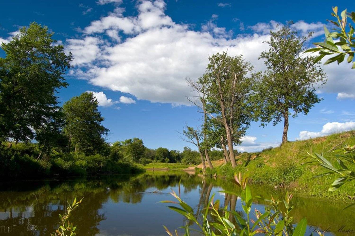 пейзаж,лето,небо,река, Данил