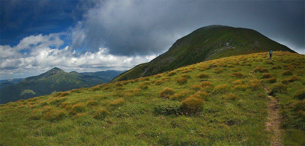 карпаты, природа, пейзаж, горы, панорама, Piligrim