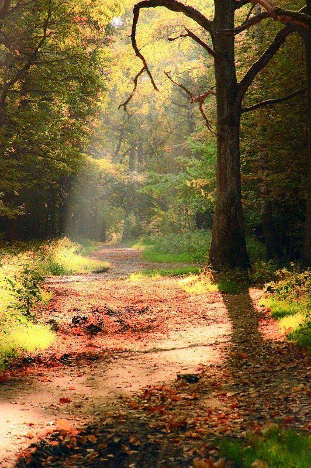 , Ефремов Юрий