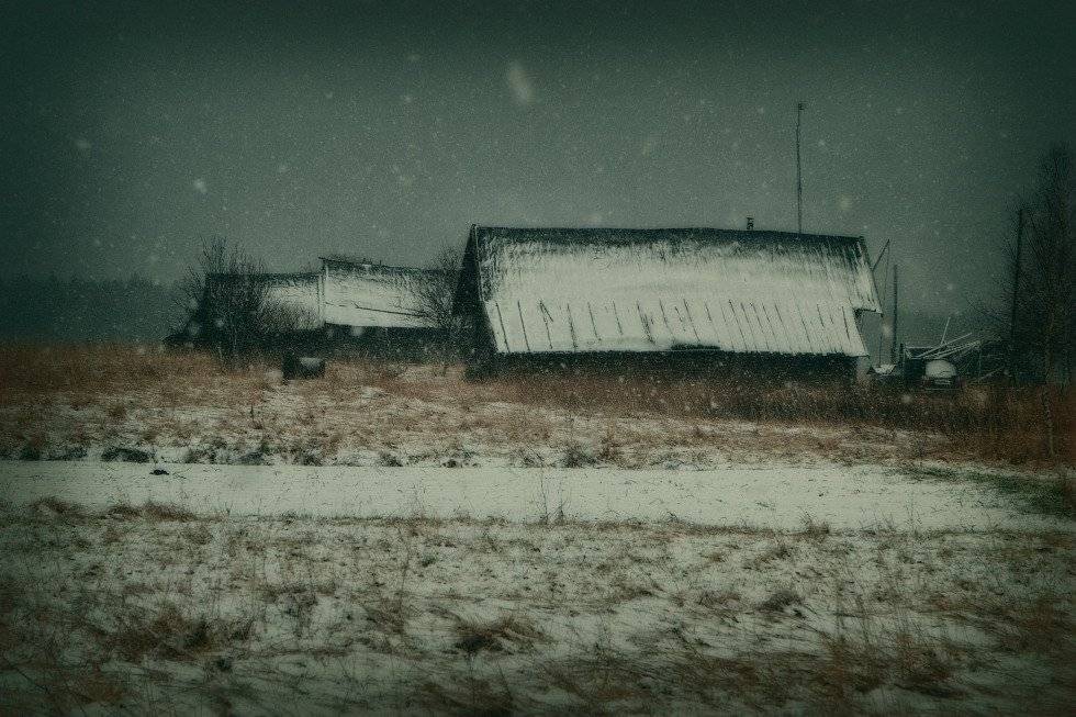 , Владимир Липецких