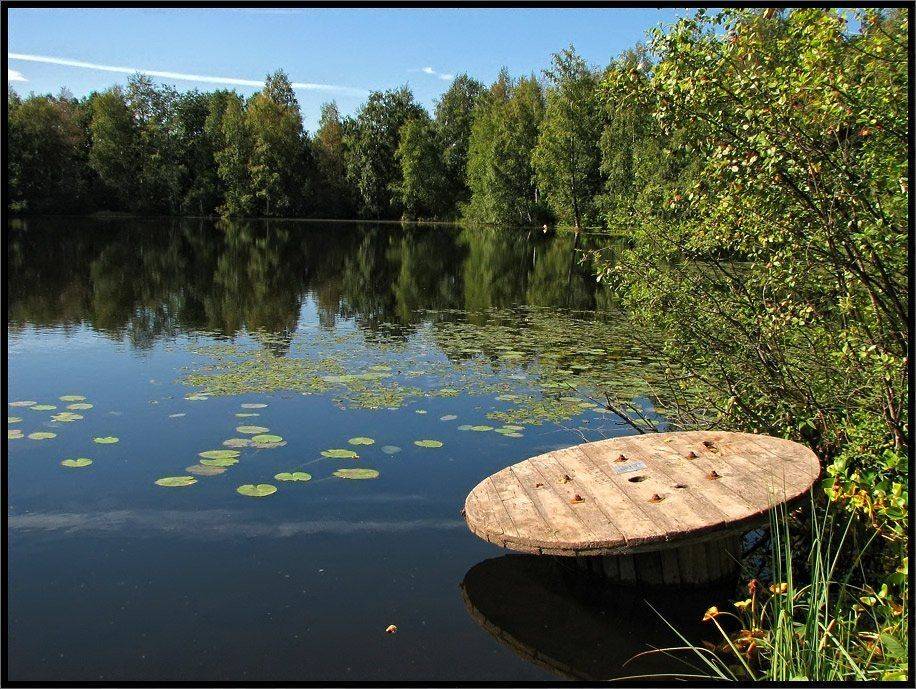 , Лунный Ежик