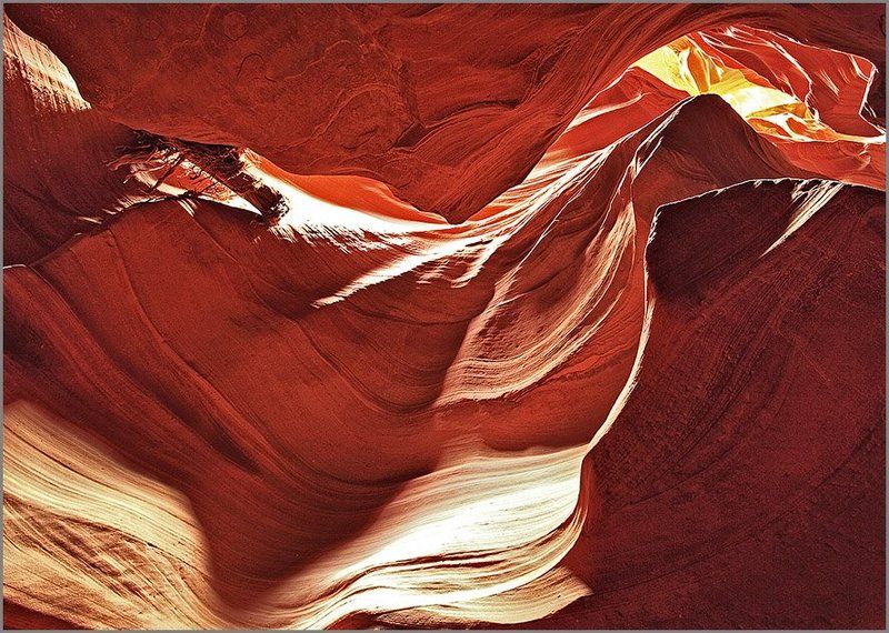 В гостях у Антилопы. фото превью