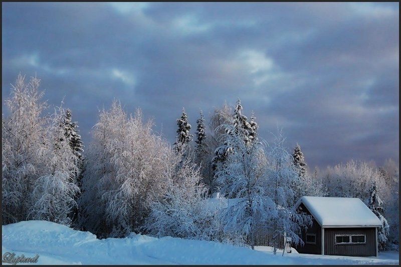 швеция,зима,скандинавия,заполярье,лапландия,природа,пейзаж Lapland фото превью