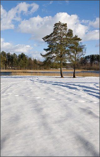 Простой лужский мартовский пейзаж