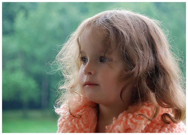 Смотреть за дождем.. фото превью