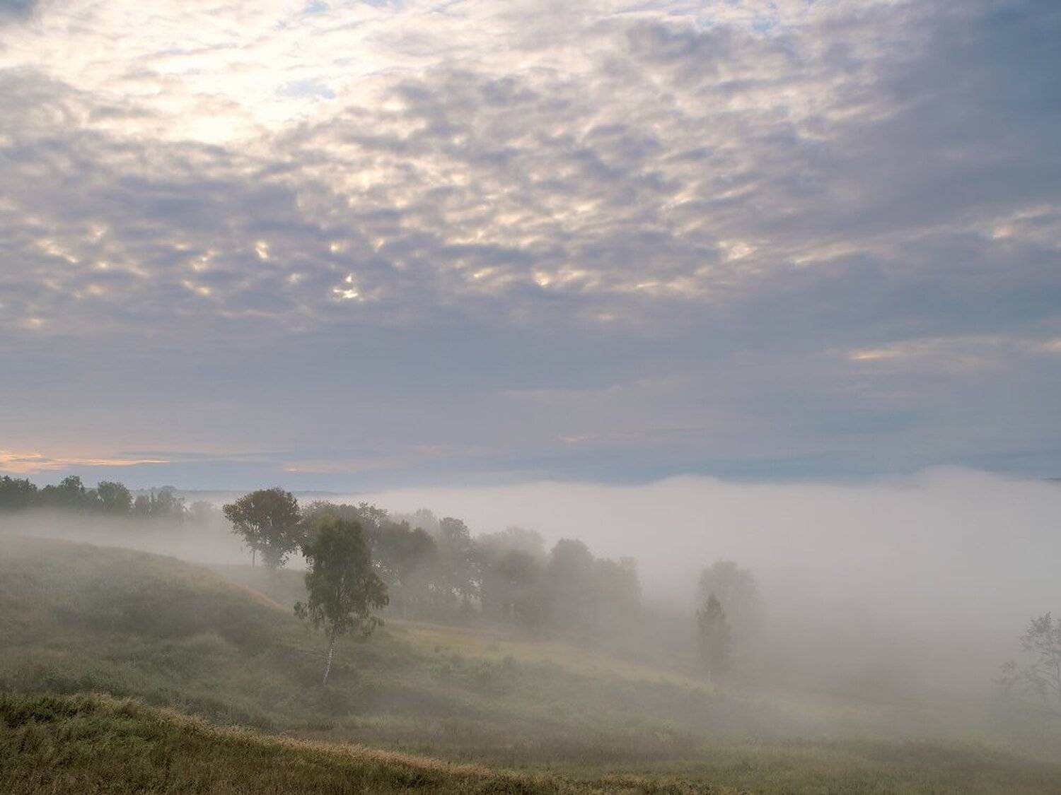 , Максим Евдокимов