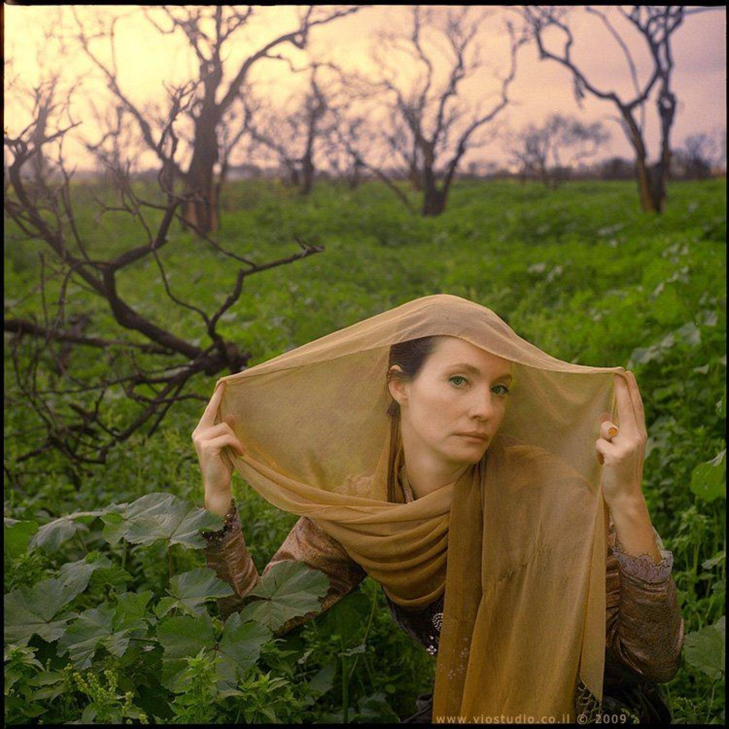 , Рафаэлов Марк