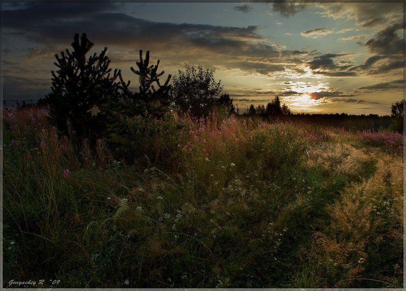 по утренней росе фото превью