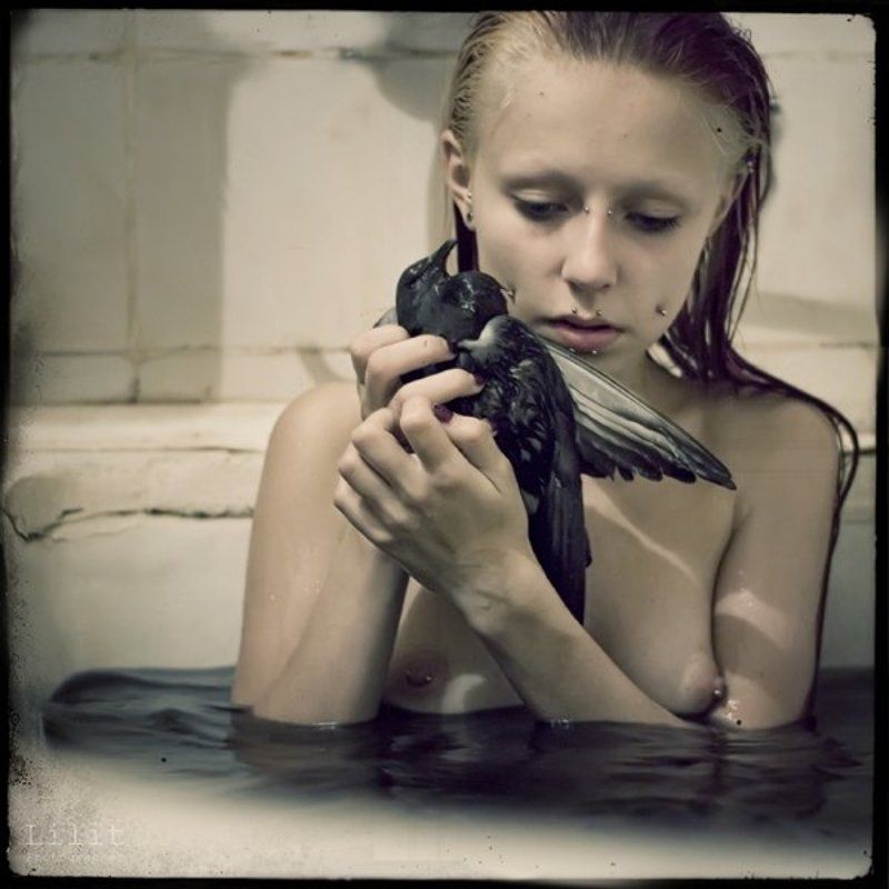 Будник и Голубь. фото превью