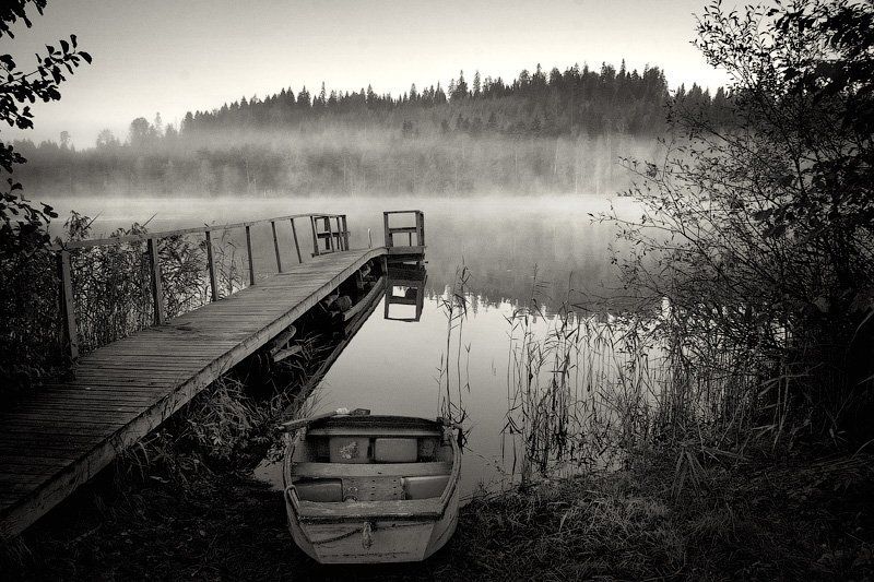 финляндия, страна, озеро, лес, вода, отражение, листва, дерево, лодка, пристань, весло, берег, рыбалка, утро, туман, dyadyavasya Тихая поступь тумана фото превью