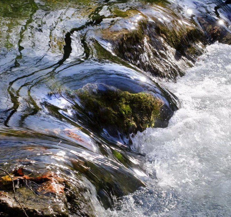 вода,мох,отражение посвящается Осени! фото превью