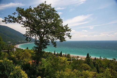 Летний день в Гаграх