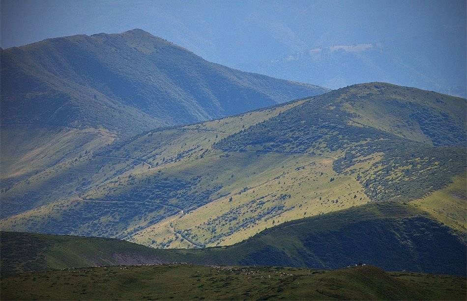 карпаты, природа, пейзаж, горы, панорама, Piligrim