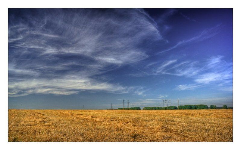 осень Гуляя в поле фото превью