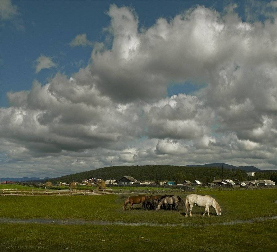 , Виктор Перякин