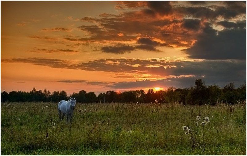 Закатная фото превью
