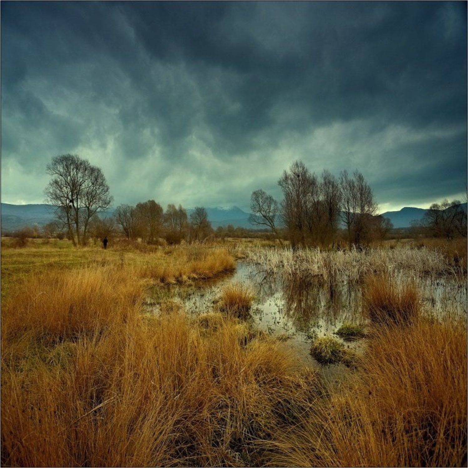 пейзаж, Ivan Dzyuba