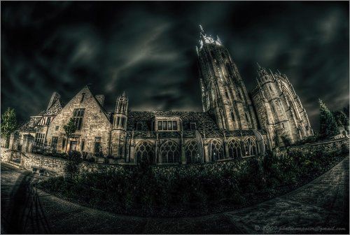 Night after Night...