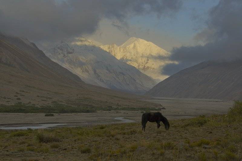 памир, поход 2009, утро., Андрей Chogori Громов