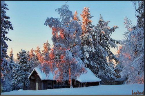 Красавица зима