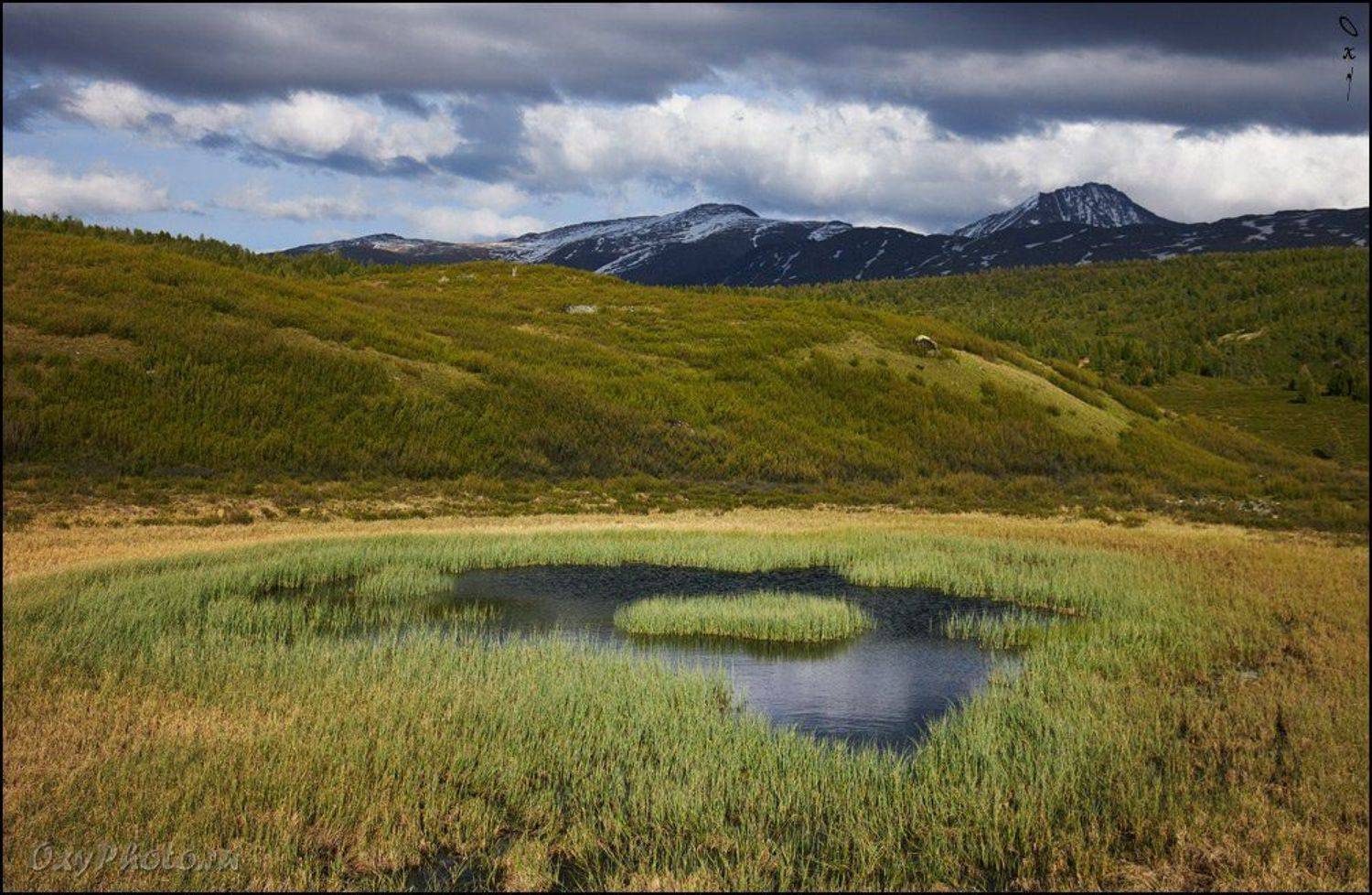 altai, russia, алтай, россия, mountains, горы, Оксана Борц