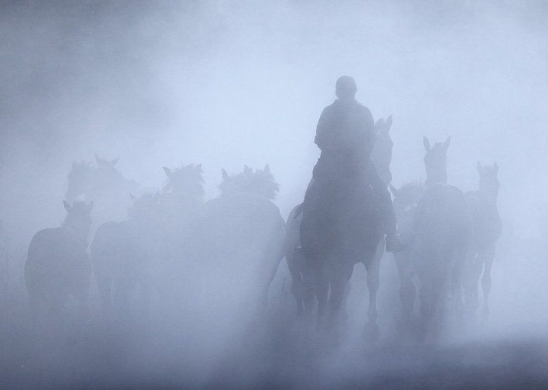 Искупаться в тумане фото превью