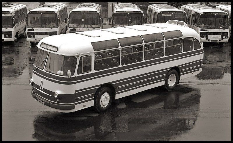 автобус, , лаз, , 695е, , история, , город, , транспорт, , нтв ЛАЗ-695Е фото превью