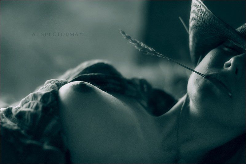 *** фото превью